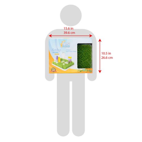 Canadian Toronto Amazon Infographic Designer