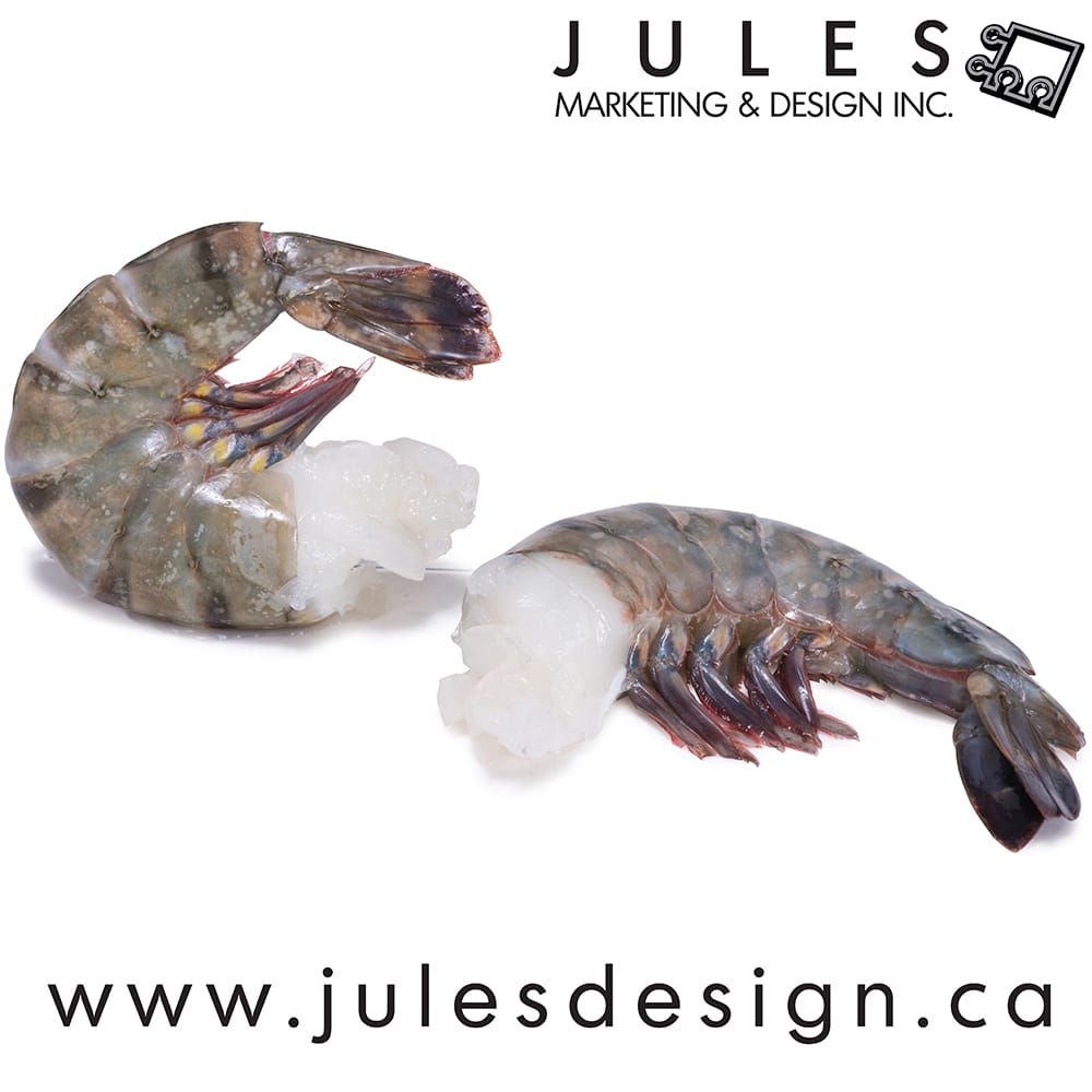Toronto GS1 Seafood Photographer for ECCnet