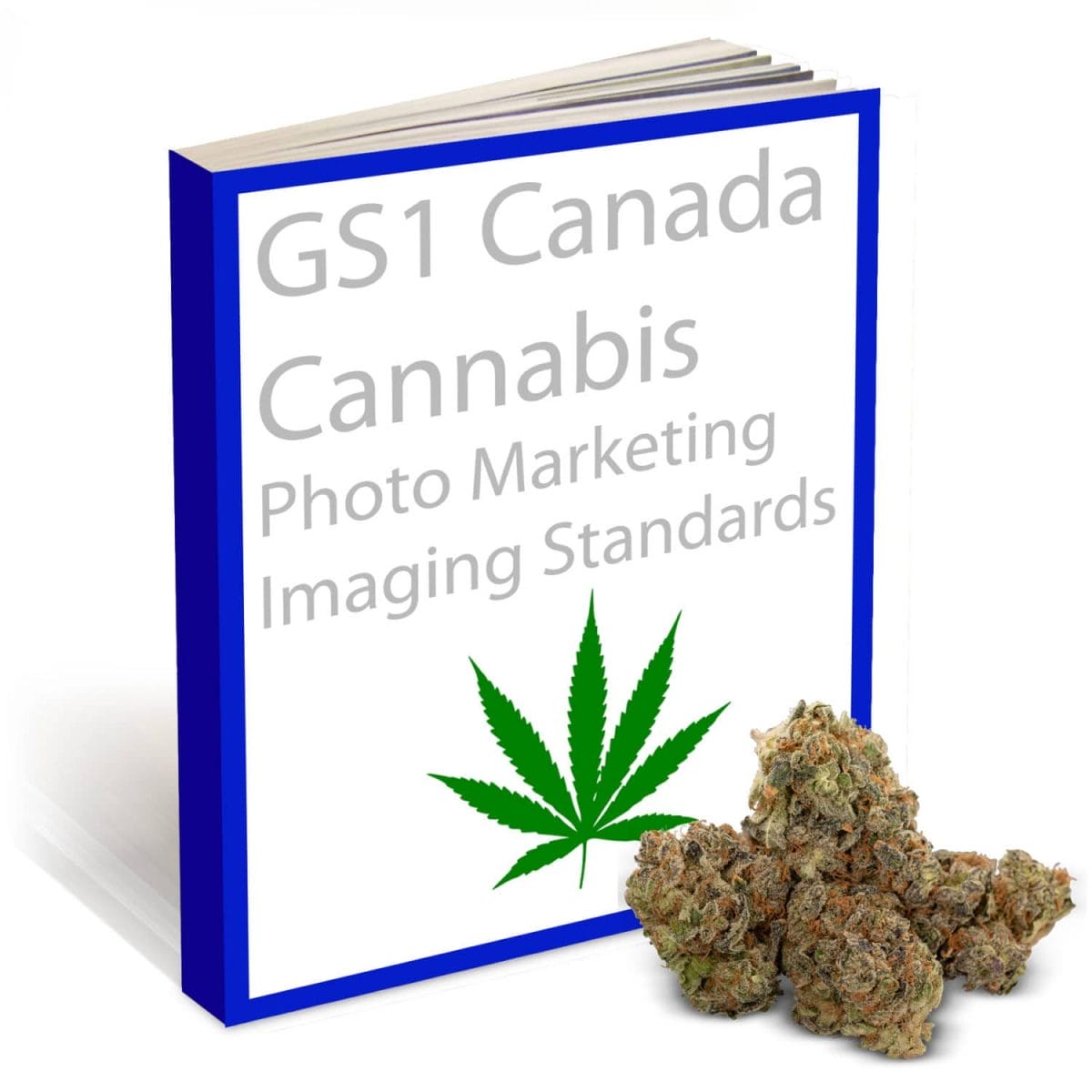 Toronto GS1 Cannabis Photography