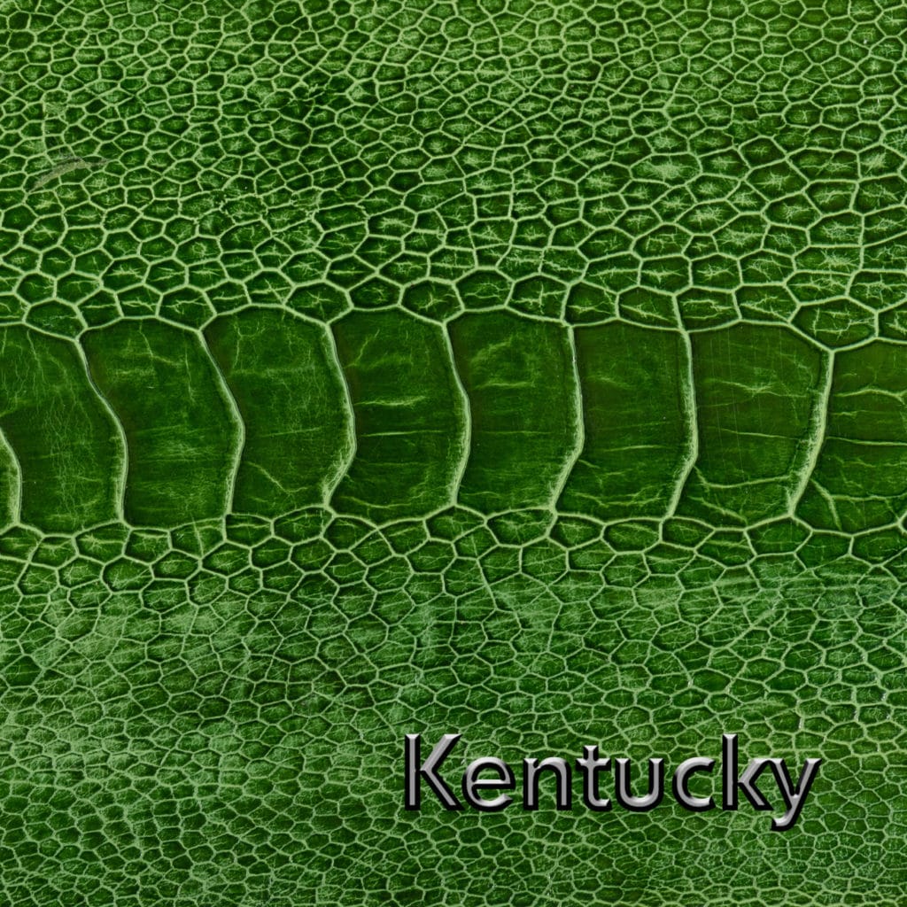 Kentucky Green Leather Swatch Product Photography