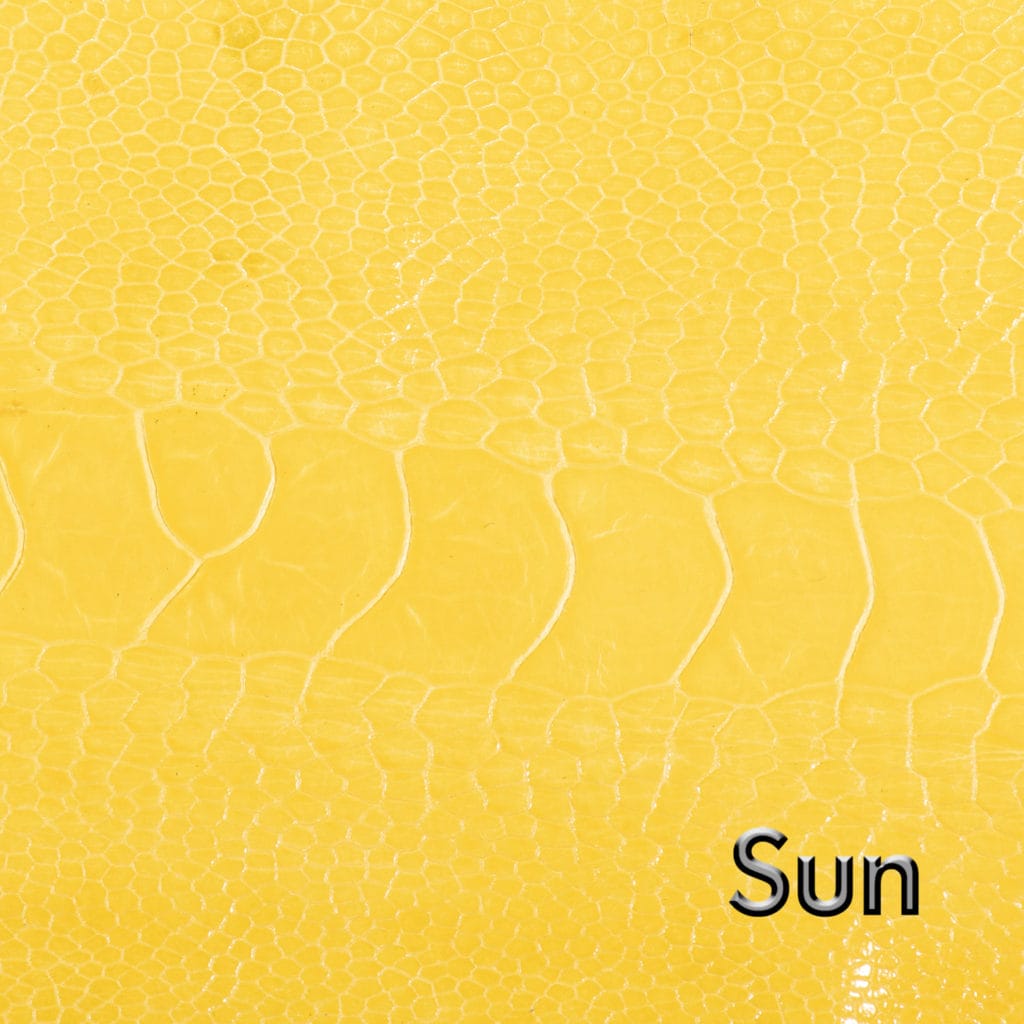 Sun Leather swatch Product Photography
