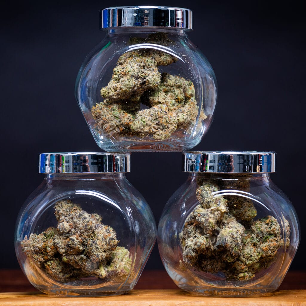 Weed Pot Lifestyle Photography Studio Toronto