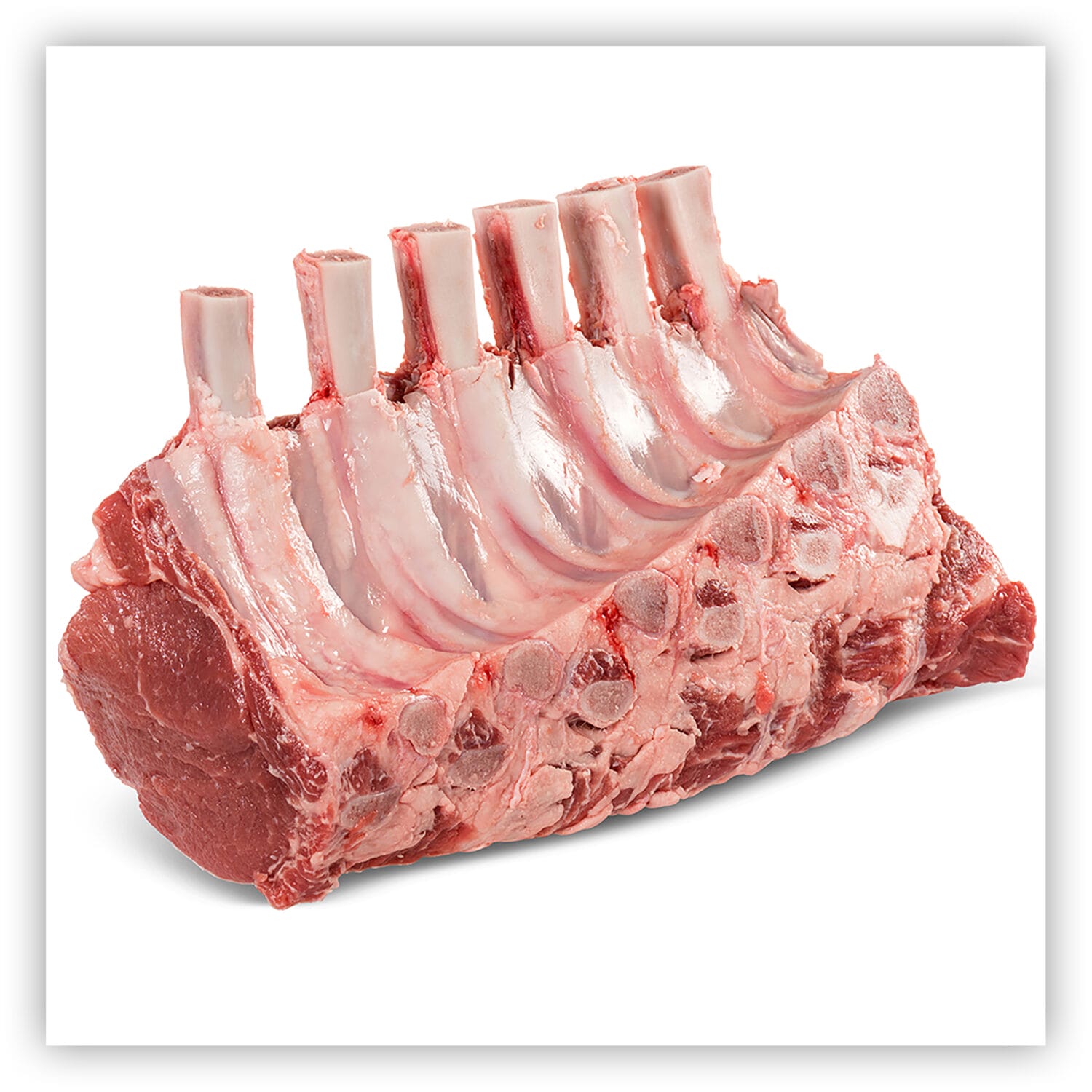 Meat & Sell Sheet Photography Meat Food Photography