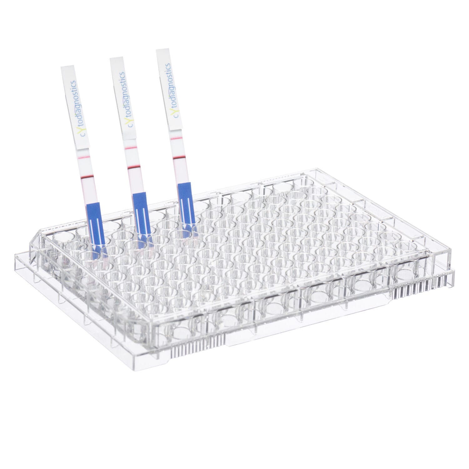 Clear 96-well microplate with blue lateral flow assay test strips – clinical lab diagnostics product photography for medical and pharmaceutical marketing in Toronto